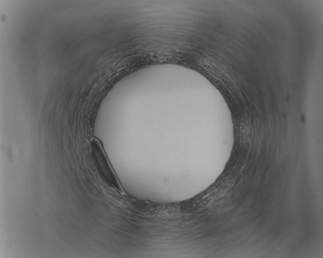 X0000073760865200608241409