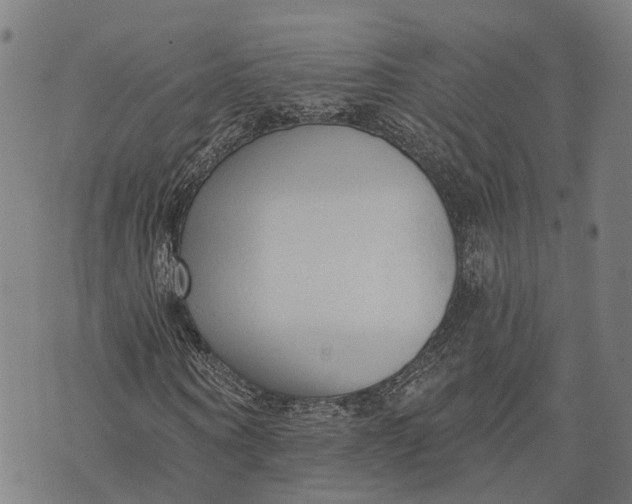 X0000073760866200608241409