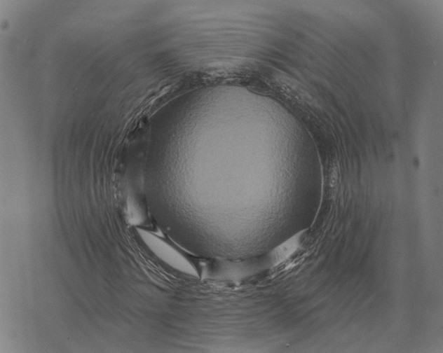 X0000073760868200608241409