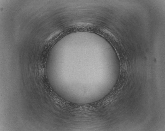 X0000073760869200608241409