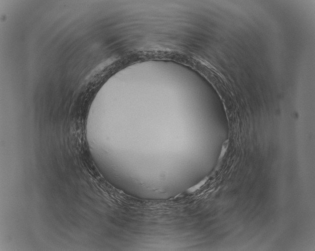 X0000073760870200608241409