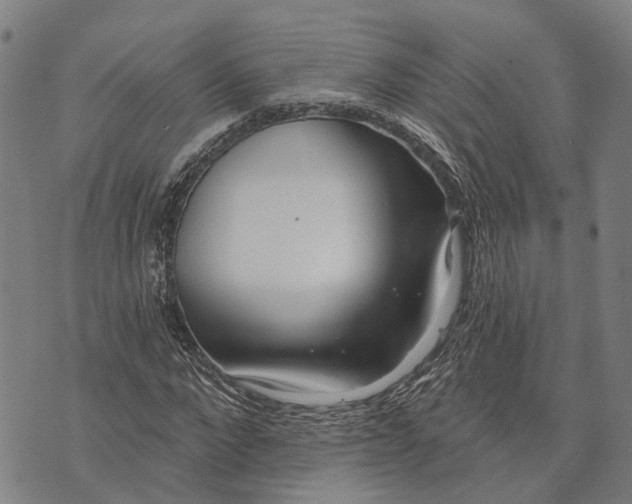 X0000073760872200608241409