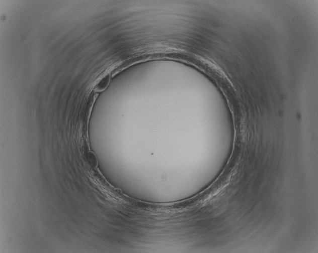 X0000073760873200608241409