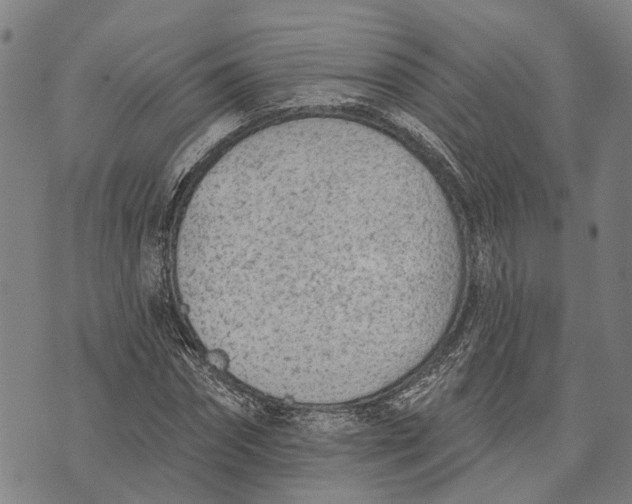 X0000073760874200608241409