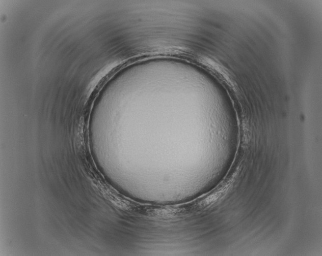 X0000073760875200608241409