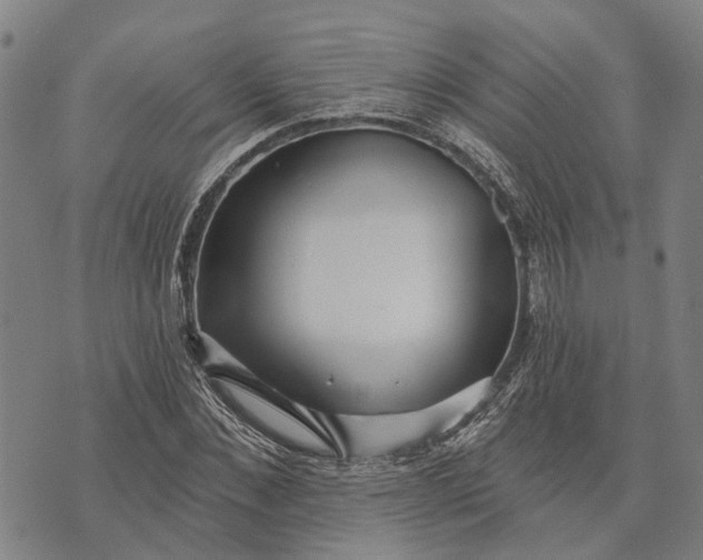 X0000073760876200608241409