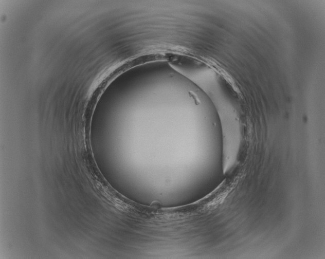 X0000073760877200608241409