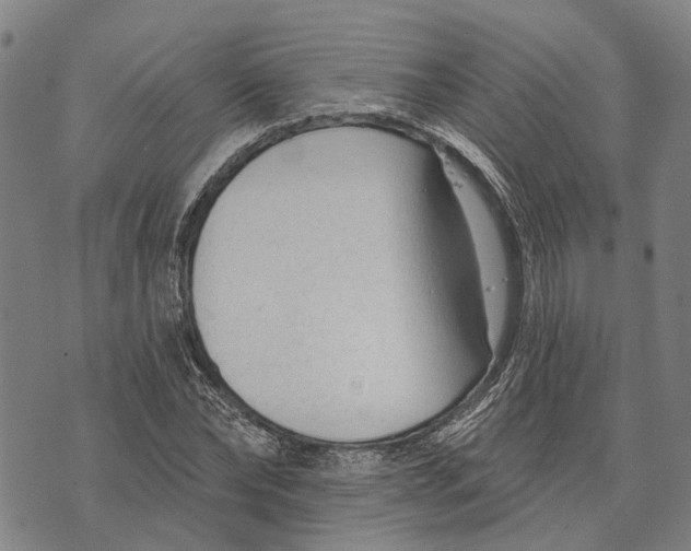 X0000073760878200608241409