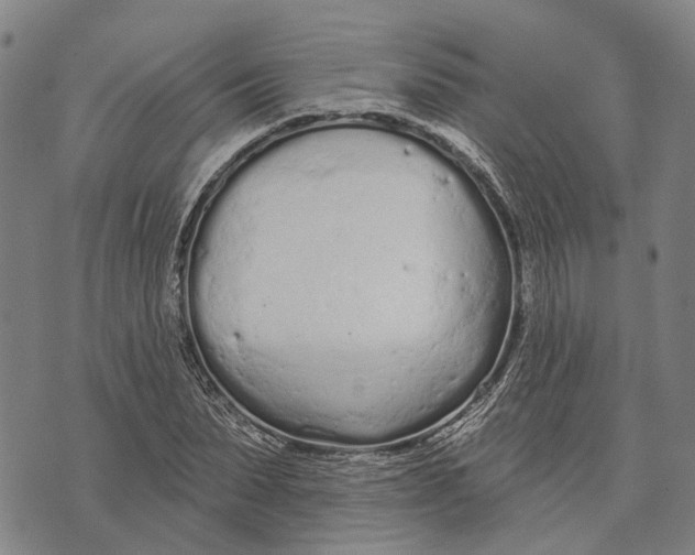 X0000073760879200608241409