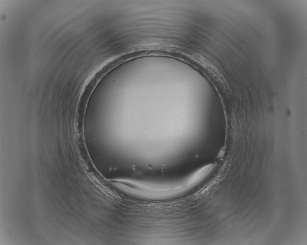 X0000073760880200608241409