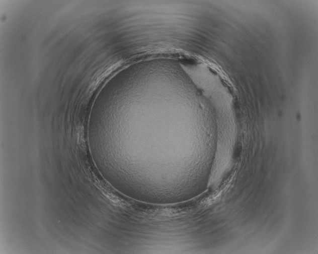 X0000073760881200608241409