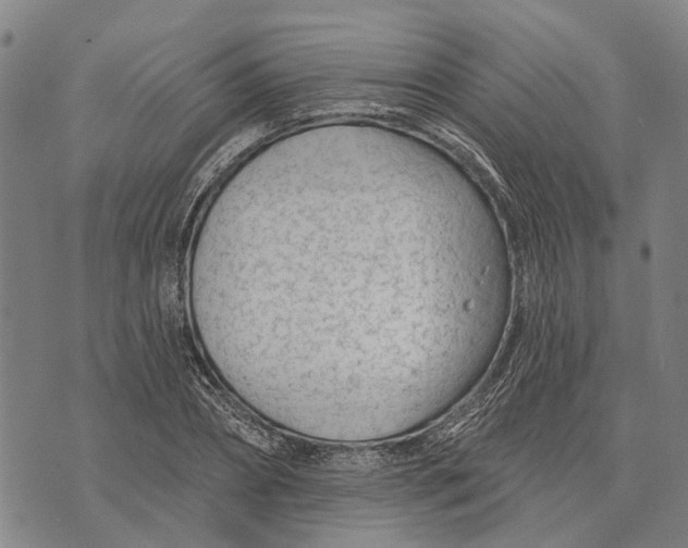 X0000073760882200608241409