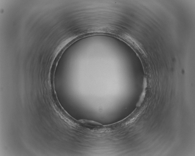 X0000073760884200608241409