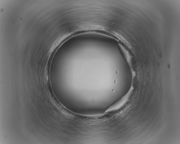 X0000073760885200608241409