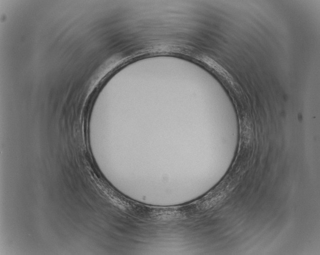 X0000073760886200608241409