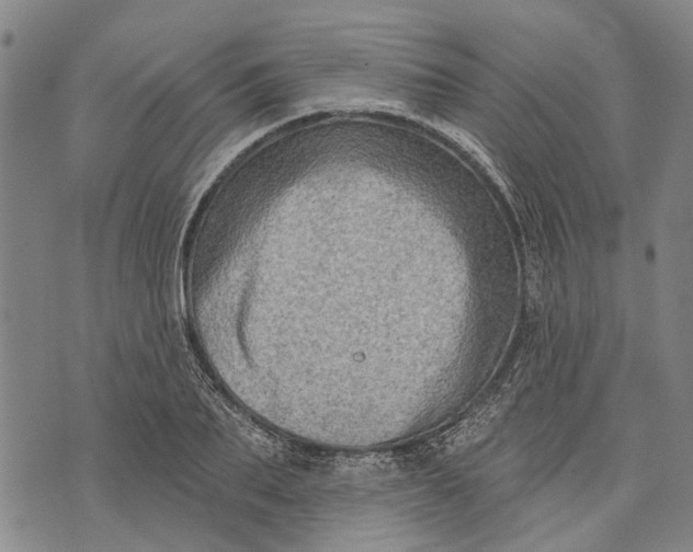 X0000073760887200608241409