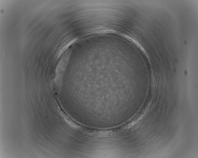 X0000073760889200608241409