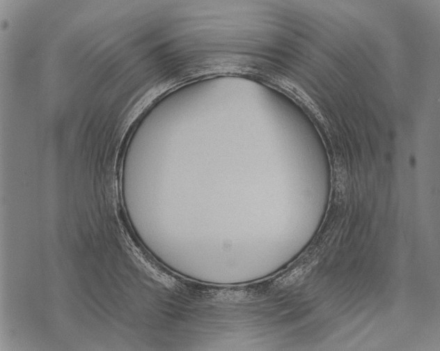 X0000073760890200608241409