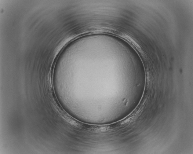 X0000073760891200608241409