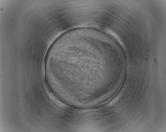 X0000073760892200608241409