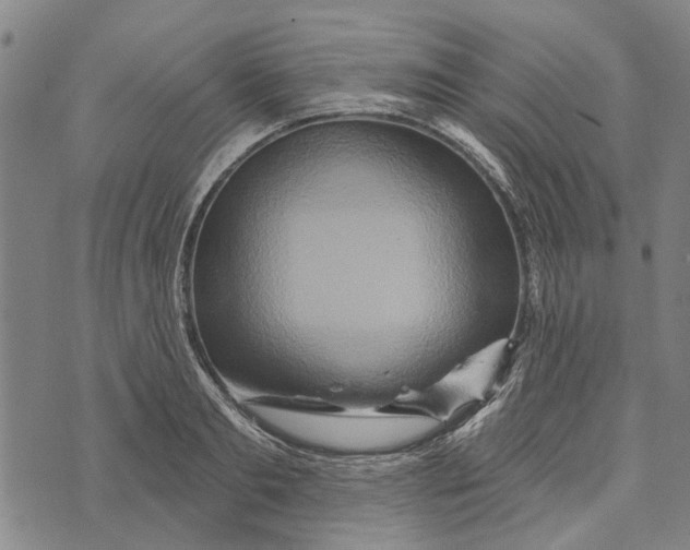 X0000073760893200608241409