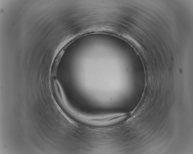 X0000073760894200608241409