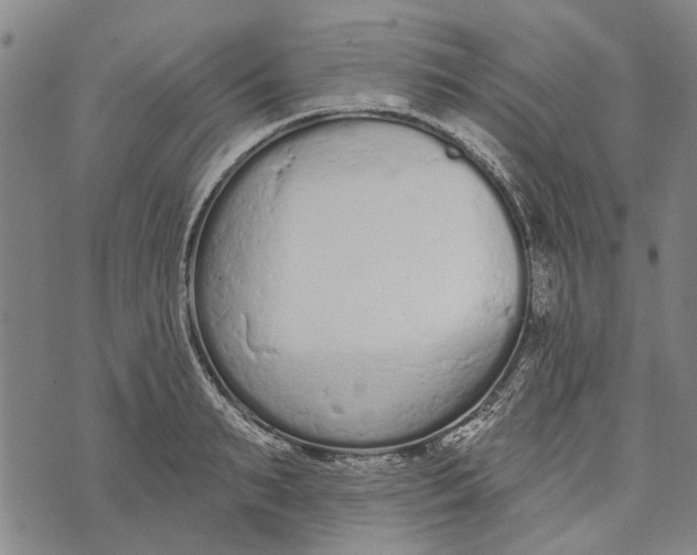 X0000073760895200608241409