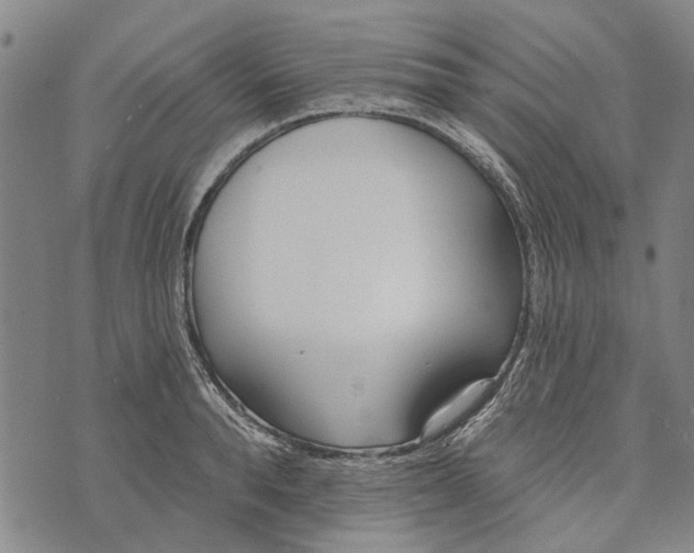 X0000073760896200608241409