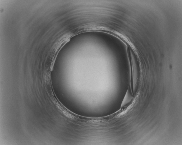 X0000073760897200608241409