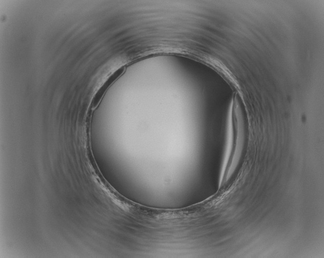 X0000073760898200608241409