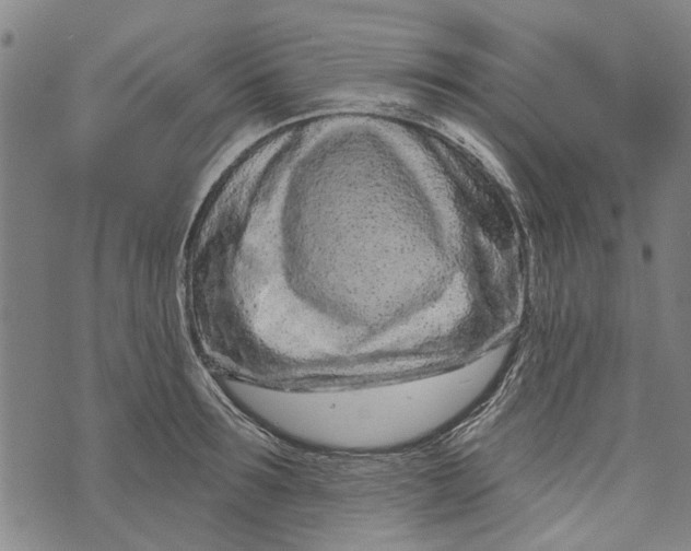 X0000073760899200608241409