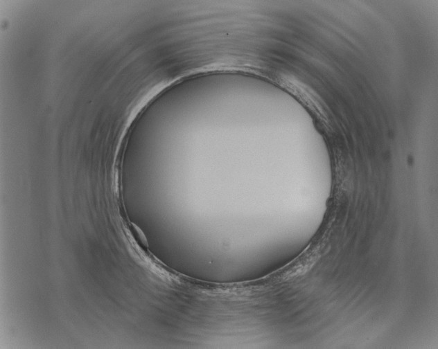 X0000073760900200608241409