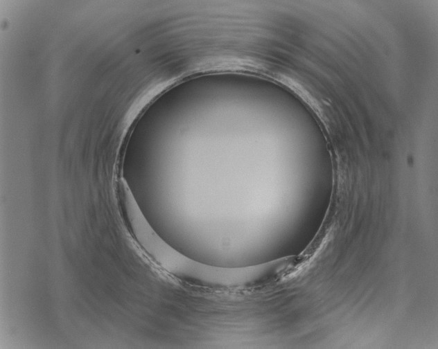 X0000073760901200608241409