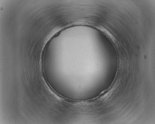 X0000073760902200608241409