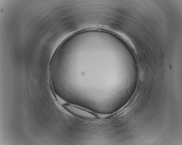 X0000073760903200608241409