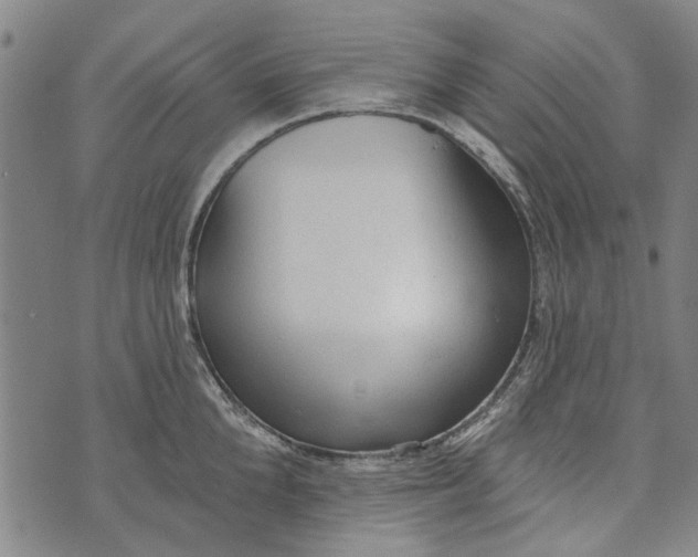 X0000073760904200608241409