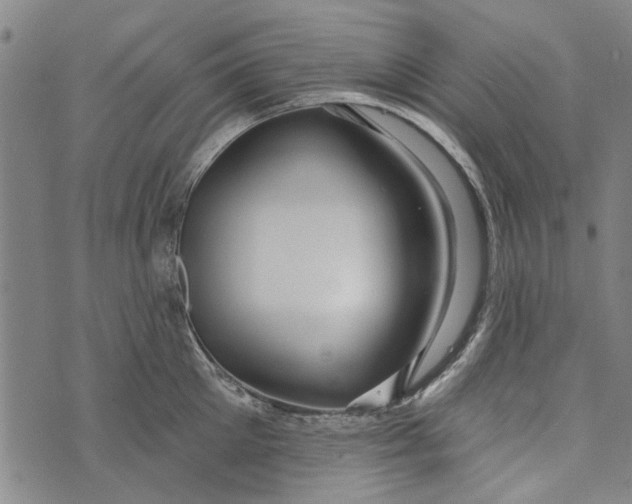 X0000073760905200608241409