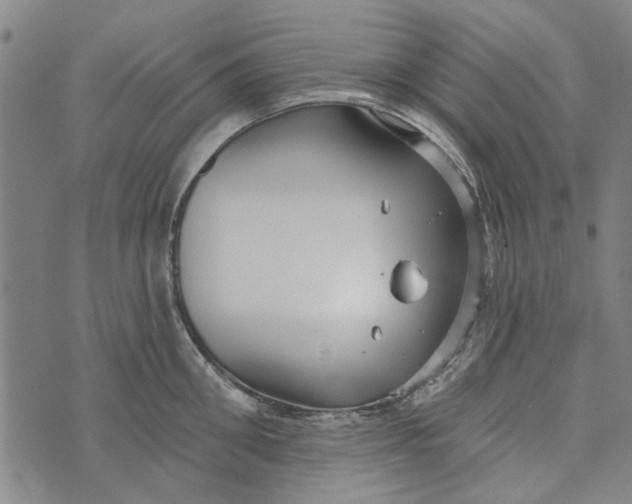 X0000073760906200608241409