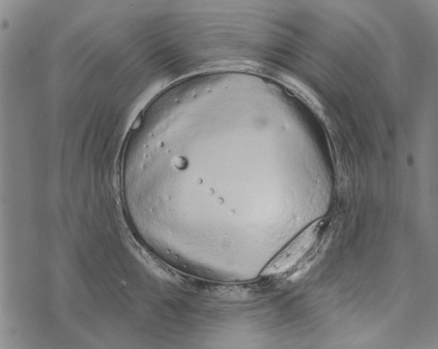 X0000073760907200608241409