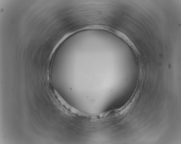 X0000073760908200608241409