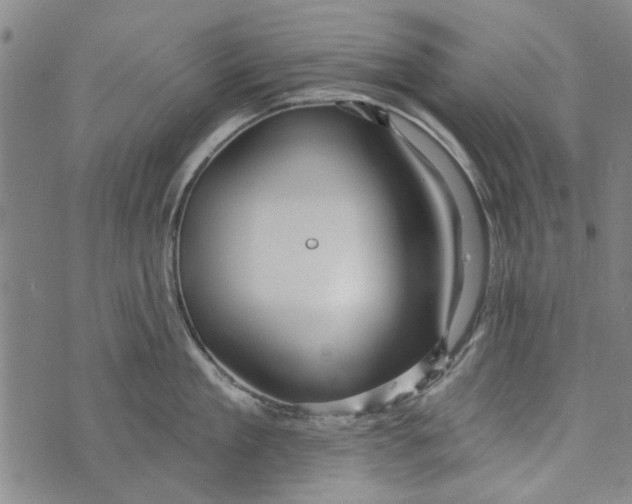 X0000073760909200608241409