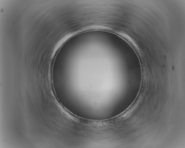 X0000073760910200608241409