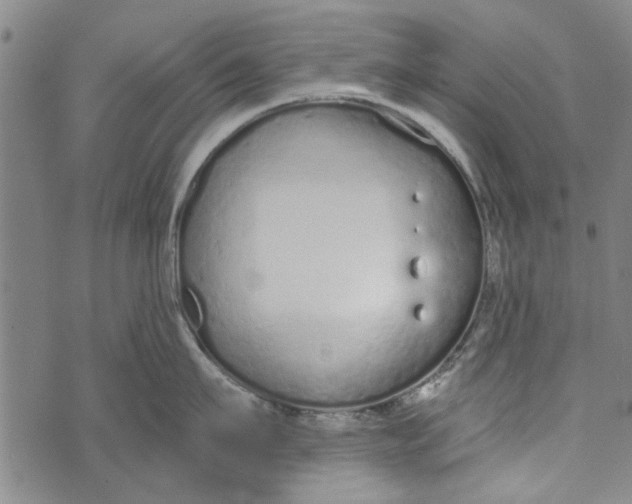 X0000073760911200608241409