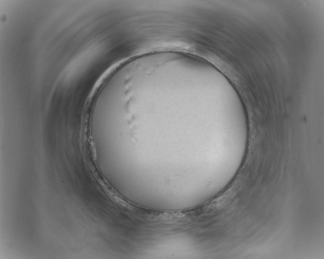 X0000073760912200608241409