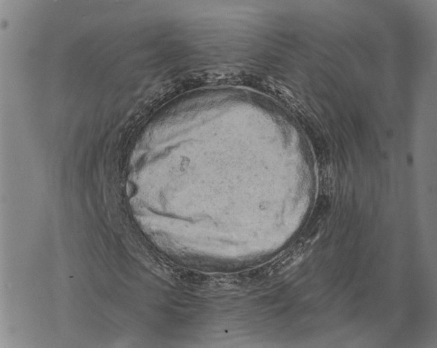 X0000073760913200608241408