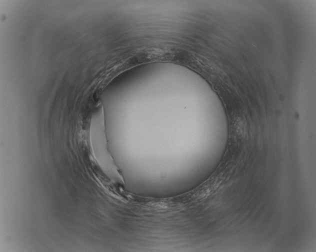 X0000073760914200608241408