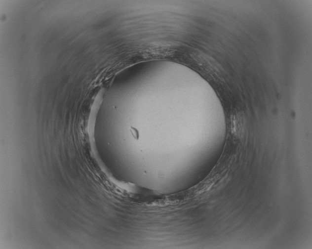 X0000073760915200608241408