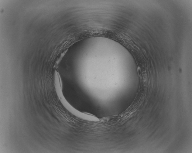 X0000073760916200608241408