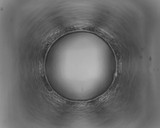 X0000073760917200608241408