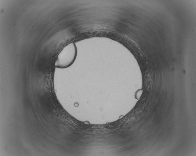 X0000073760918200608241408